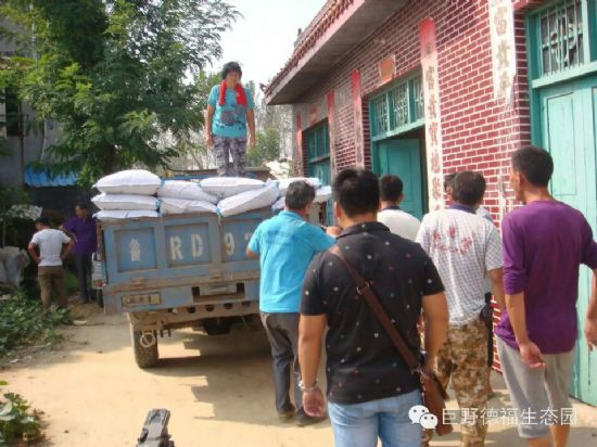 點(diǎn)擊查看詳細(xì)信息<br>標(biāo)題：熱烈慶祝大謝集鎮(zhèn)趙樓村三農(nóng)網(wǎng)絡(luò)服務(wù)站化肥銷售突破50噸。 閱讀次數(shù)：8576