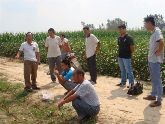 點(diǎn)擊查看詳細(xì)信息<br>標(biāo)題：三農(nóng)網(wǎng)絡(luò)農(nóng)業(yè)技師到田間 閱讀次數(shù)：8792