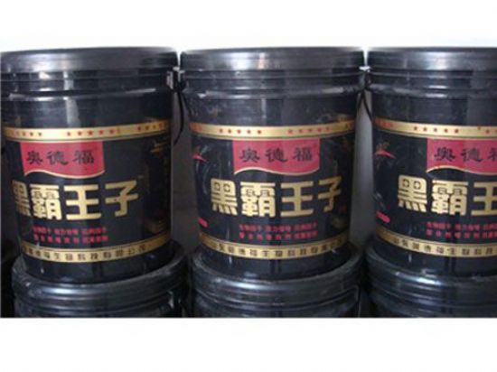 點擊查看詳細信息<br>標題：黑霸王子 閱讀次數(shù)：5500