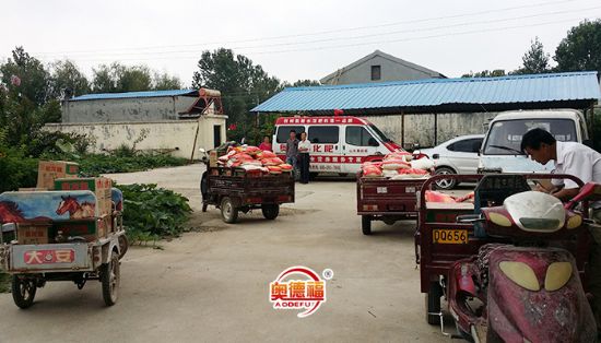 點(diǎn)擊查看詳細(xì)信息<br>標(biāo)題：三農(nóng)合作社分紅發(fā)大米與油 閱讀次數(shù)：8790