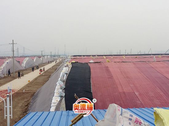 點(diǎn)擊查看詳細(xì)信息<br>標(biāo)題：生態(tài)大棚外景 閱讀次數(shù)：7289