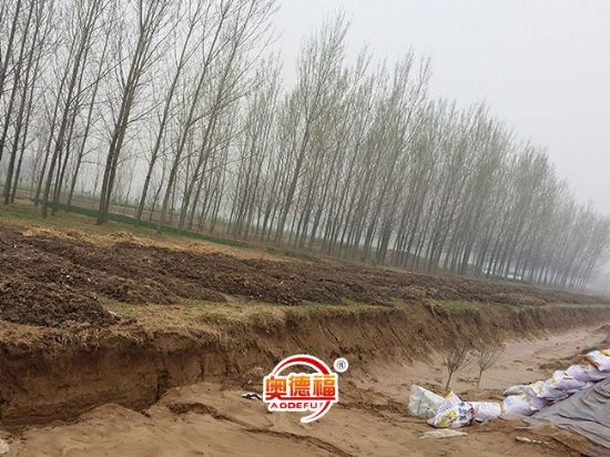 點(diǎn)擊查看詳細(xì)信息<br>標(biāo)題：生態(tài)有機(jī)肥 閱讀次數(shù)：7373