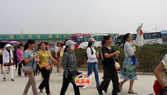 點(diǎn)擊查看詳細(xì)信息<br>標(biāo)題：縣婦聯(lián)來(lái)采摘 閱讀次數(shù)：6905