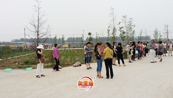 點(diǎn)擊查看詳細(xì)信息<br>標(biāo)題：縣婦聯(lián)來(lái)采摘 閱讀次數(shù)：6881