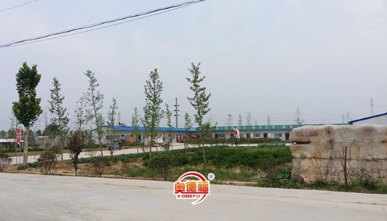 點(diǎn)擊查看詳細(xì)信息<br>標(biāo)題：生態(tài)園辦公區(qū) 閱讀次數(shù)：7364