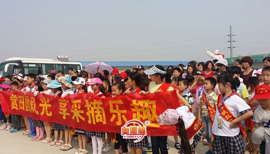 點(diǎn)擊查看詳細(xì)信息<br>標(biāo)題：采摘團(tuán) 閱讀次數(shù)：6972