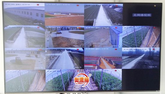 點(diǎn)擊查看詳細(xì)信息<br>標(biāo)題：農(nóng)業(yè)園一期農(nóng)業(yè)信息標(biāo)準(zhǔn)化 閱讀次數(shù)：6814