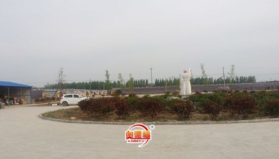 點(diǎn)擊查看詳細(xì)信息<br>標(biāo)題：生態(tài)園蔬菜種植區(qū) 閱讀次數(shù)：7486