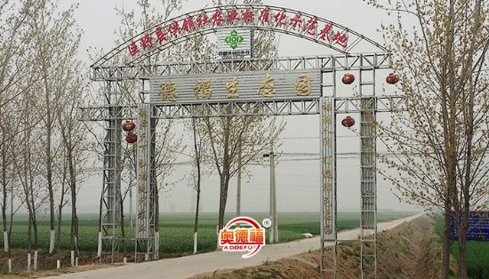 點(diǎn)擊查看詳細(xì)信息<br>標(biāo)題：生態(tài)園 閱讀次數(shù)：7848